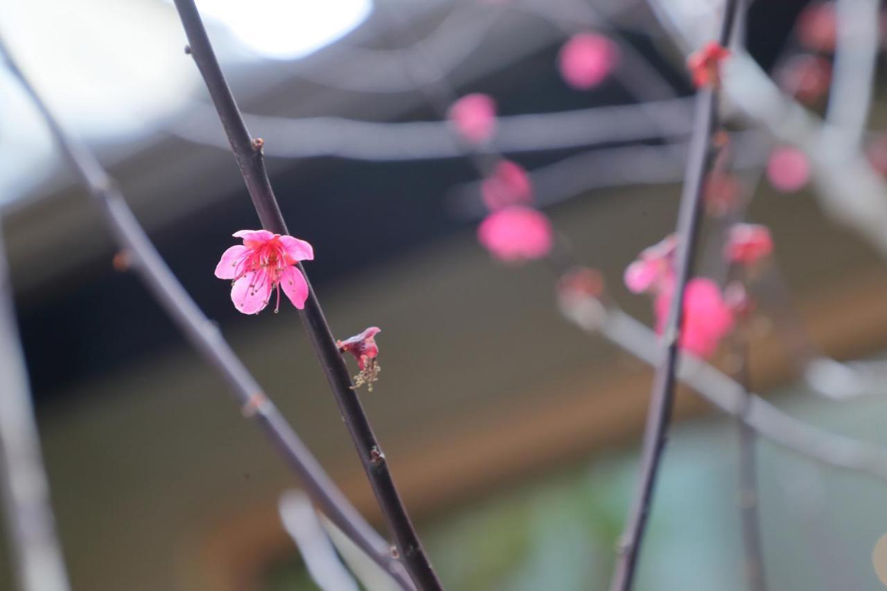 Kyo No Oozora Saika Villa Kyoto Exteriör bild
